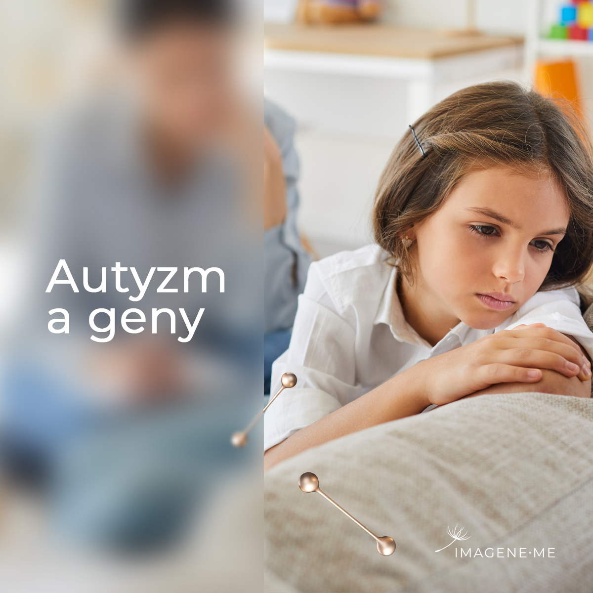 Autyzm a geny Genetyczne podłoże autyzmu IMAGENE ME